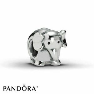Pandora Authentic Charm